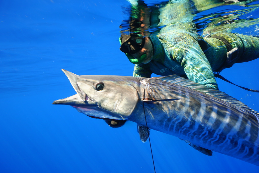 Fishing in Cabo in October