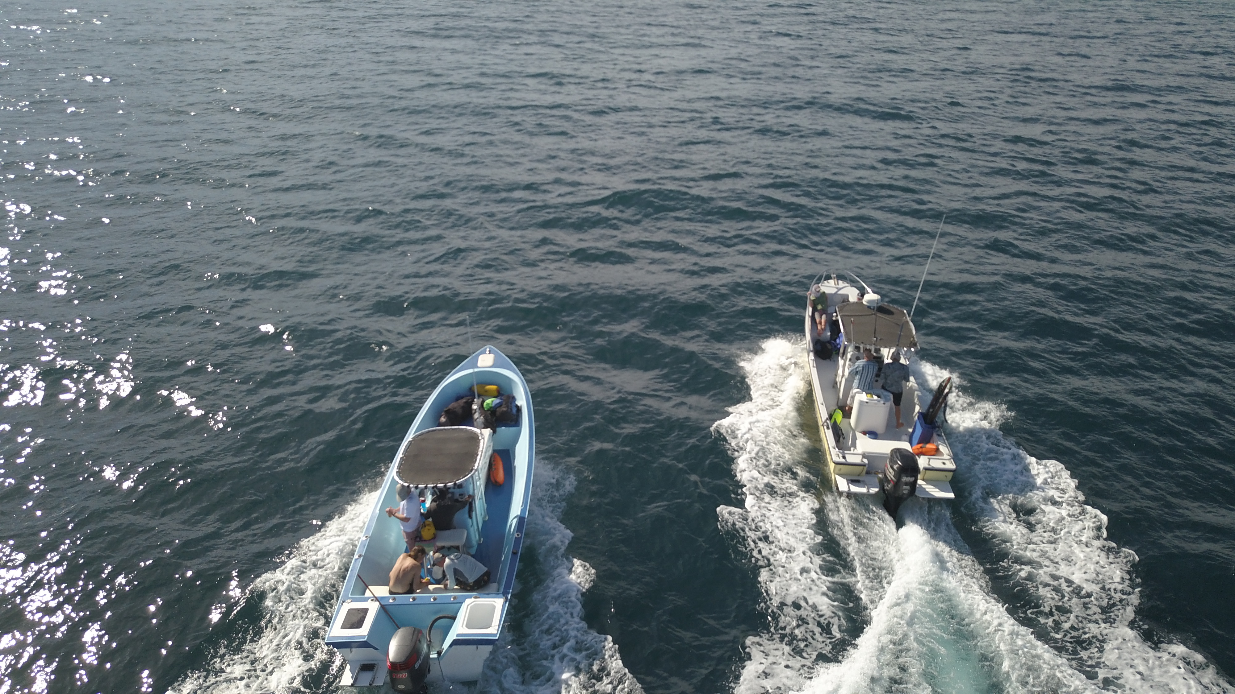 Fishing in Cabo in November