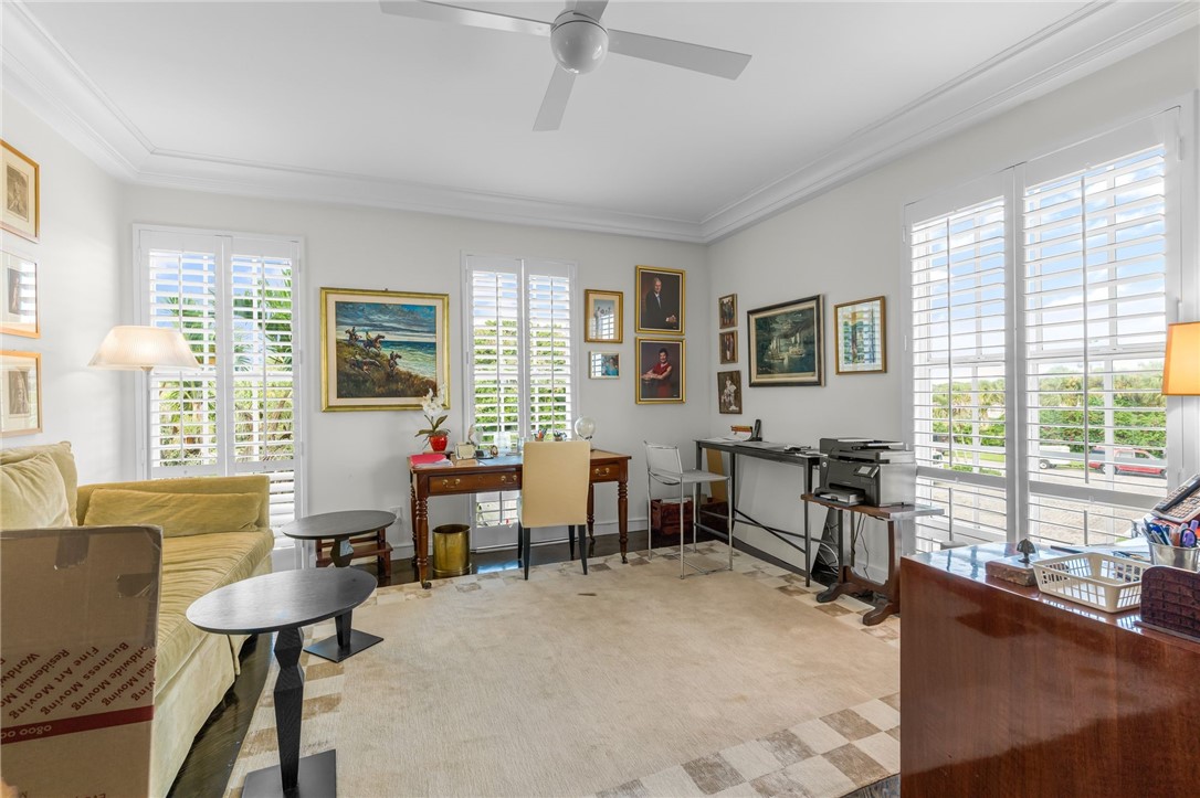 White plantation shutters, crown molding, ceiling fan, and dark wood-finish flooring