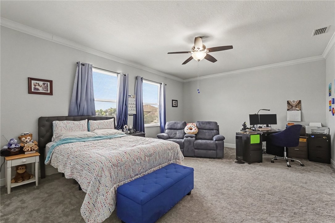 Spacious room featuring multiple windows, crown molding, a ceiling fan with integrated lighting, and wall-to-wall carpeting