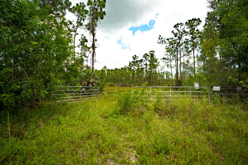 12460 79TH Street Fellsmere FL 32948