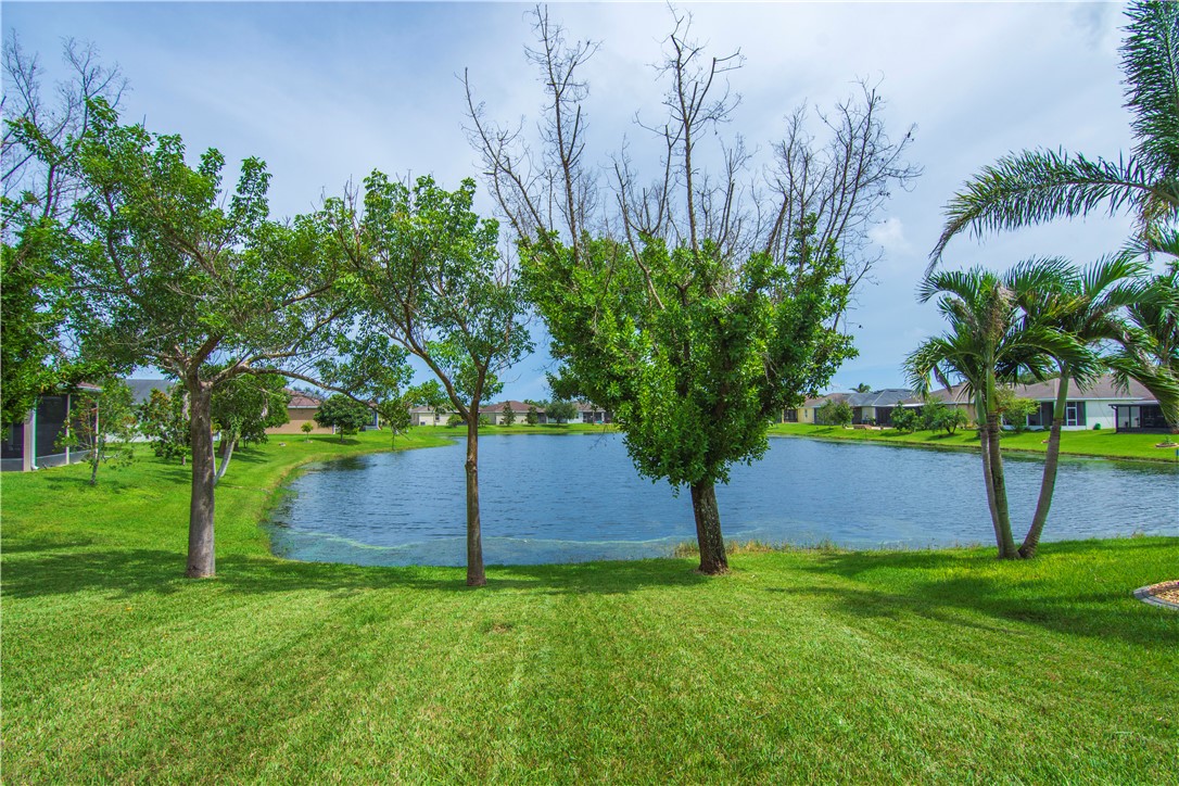 Expansive lawn area with a water feature, bordered by mature trees and palm trees