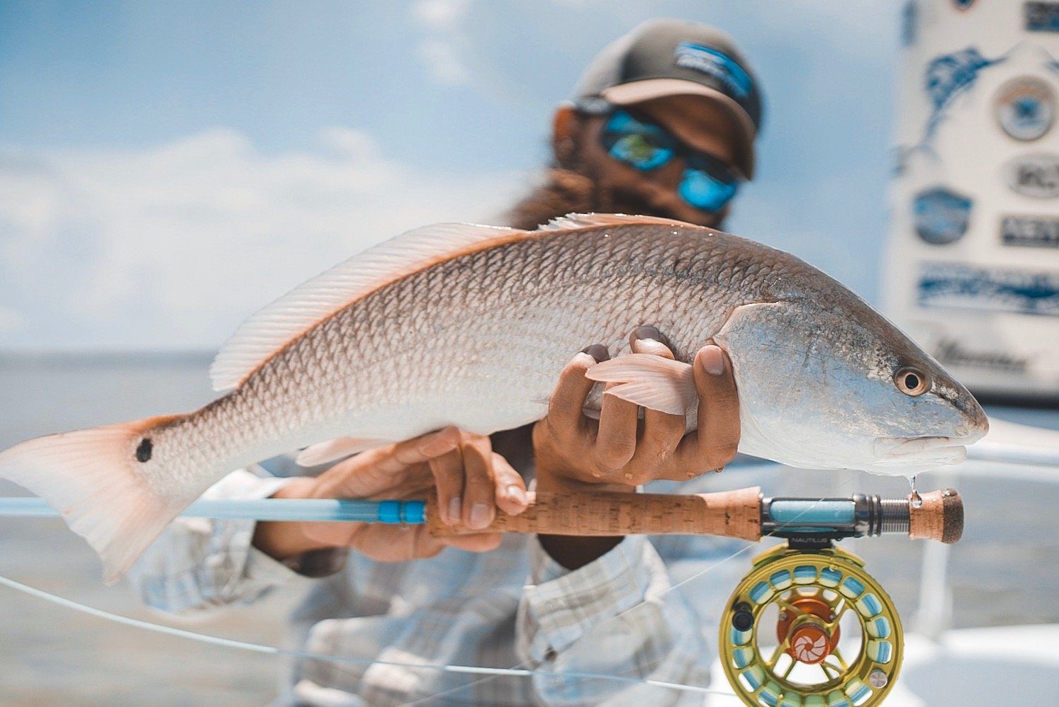 Down Sea Charters