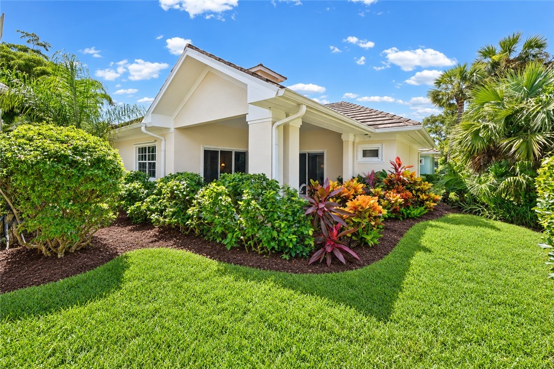 Tropical Back Yard
