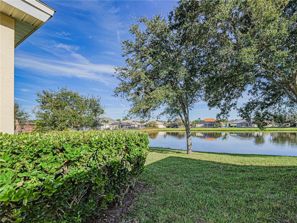 Expansive lawn area with mature trees, a manicured hedge, and a serene water feature