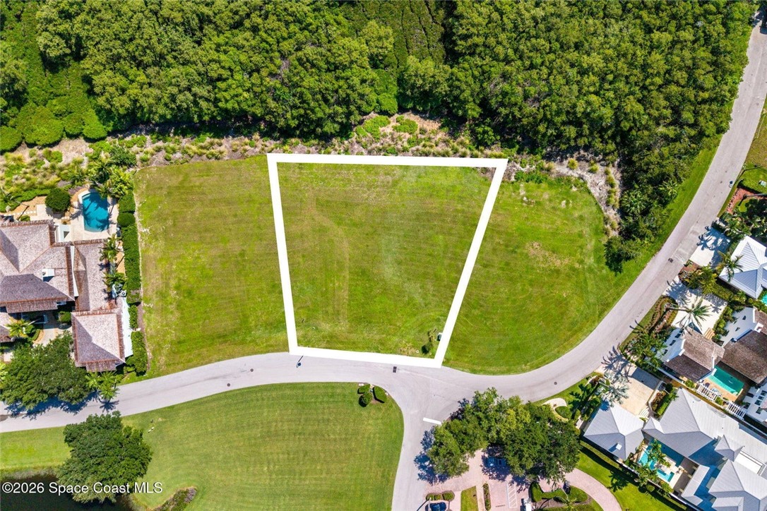 Grassed parcel with established road frontage, bordered by dense natural foliage