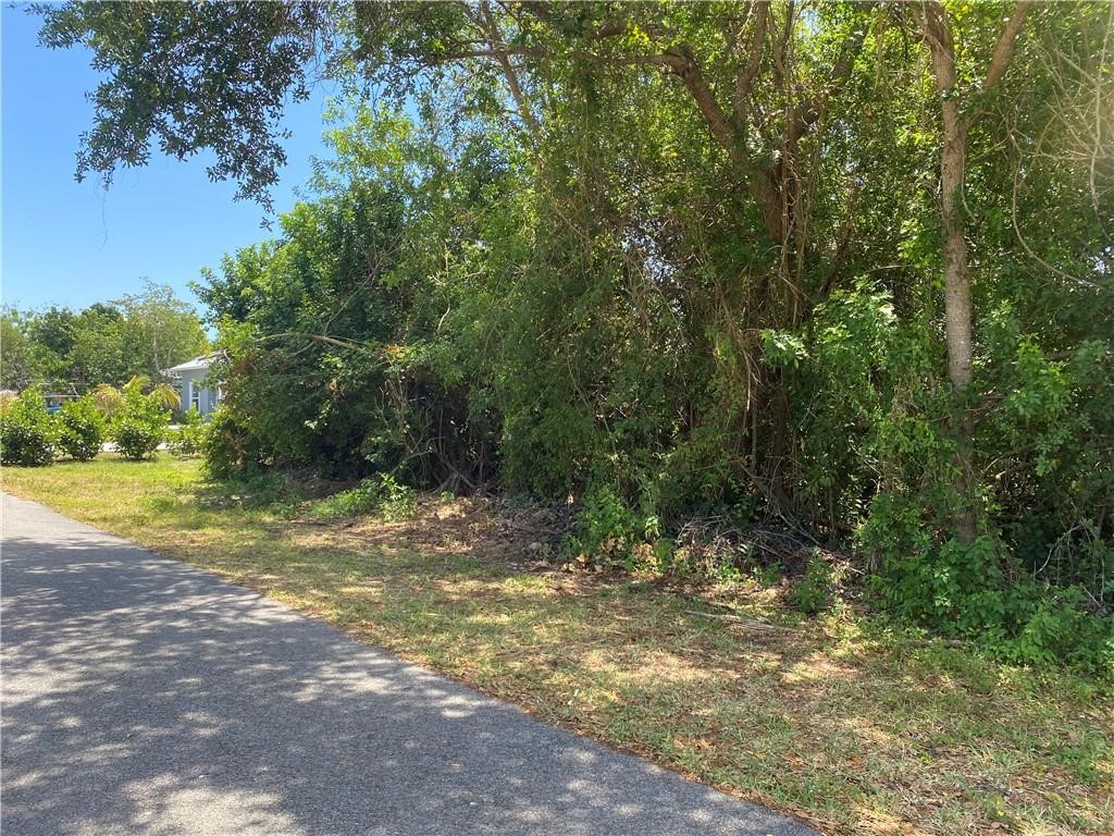 Mature trees and dense foliage define this undeveloped lot