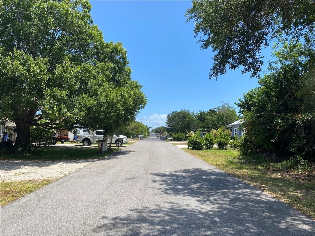 Paved street bordered by mature trees and landscaped properties under a clear sky
