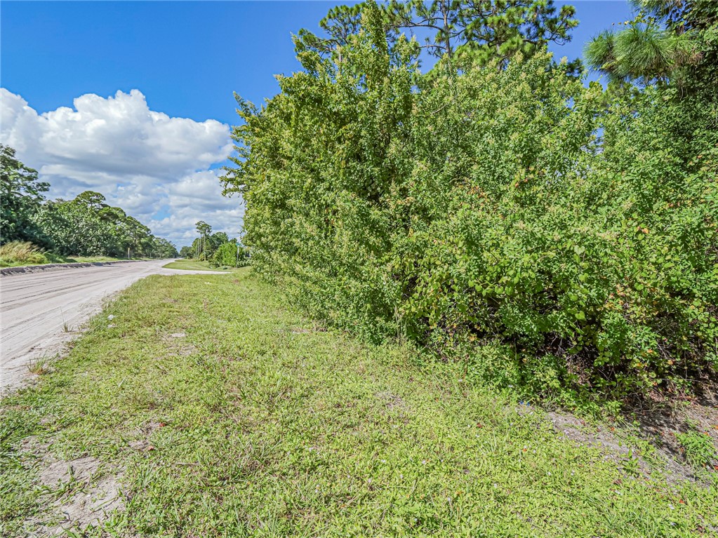 View of dirt / gravel road