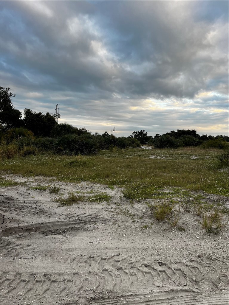 View of local wilderness