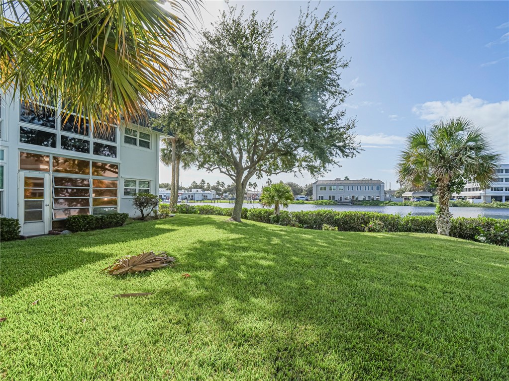 Waterfront backyard featuring an expansive lawn, mature palm and shade trees, multi-pane floor-to-ceiling windows, and integrated landscaping