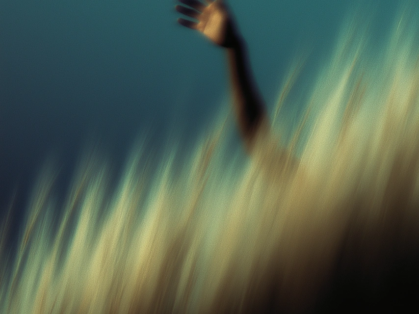 Blog Image
