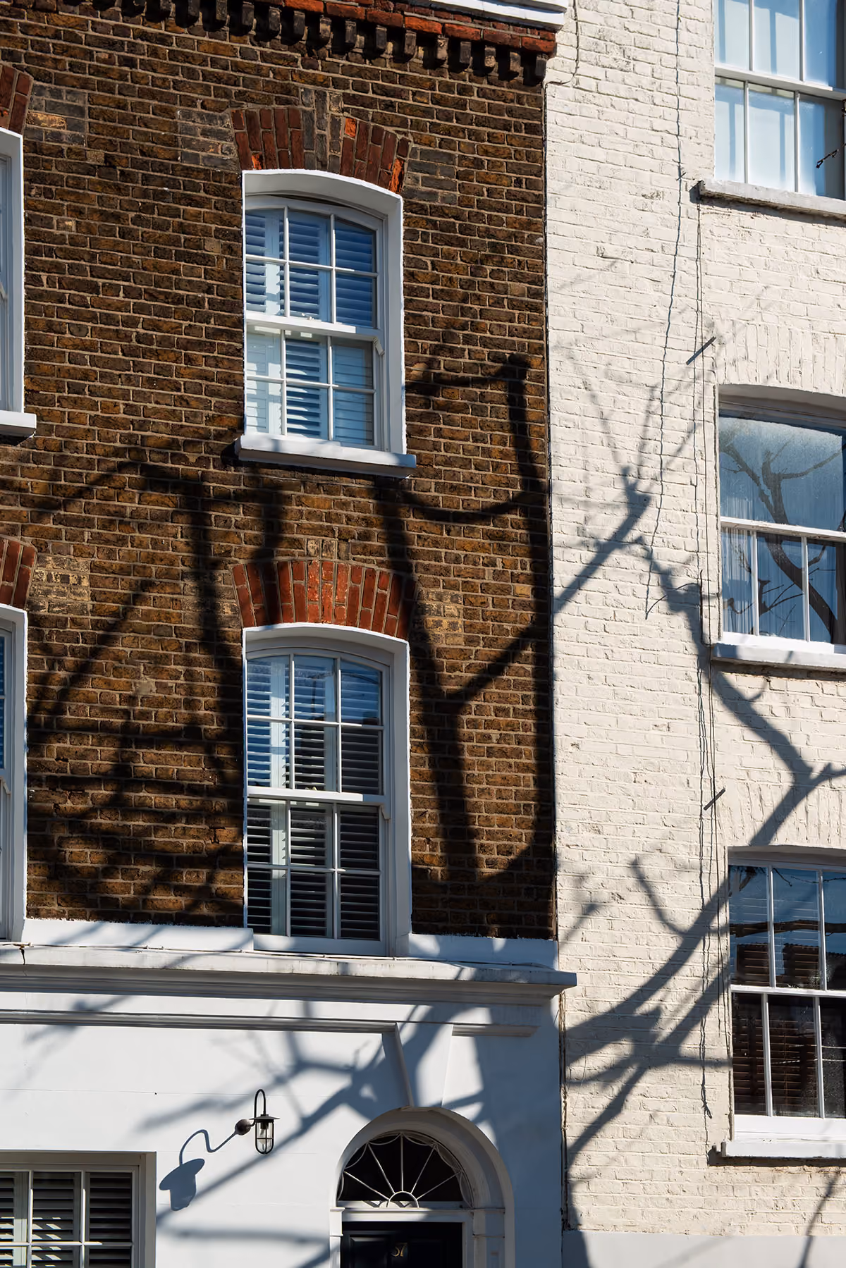 Conservation & Restoration