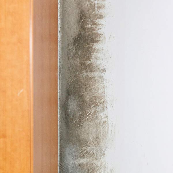 Rising Damp or Trapped Moisture: How to Tell the Difference