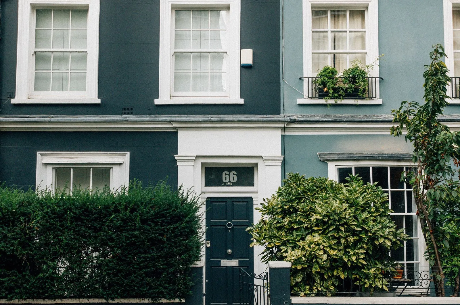 Expert Lime Rendering in Chelsea