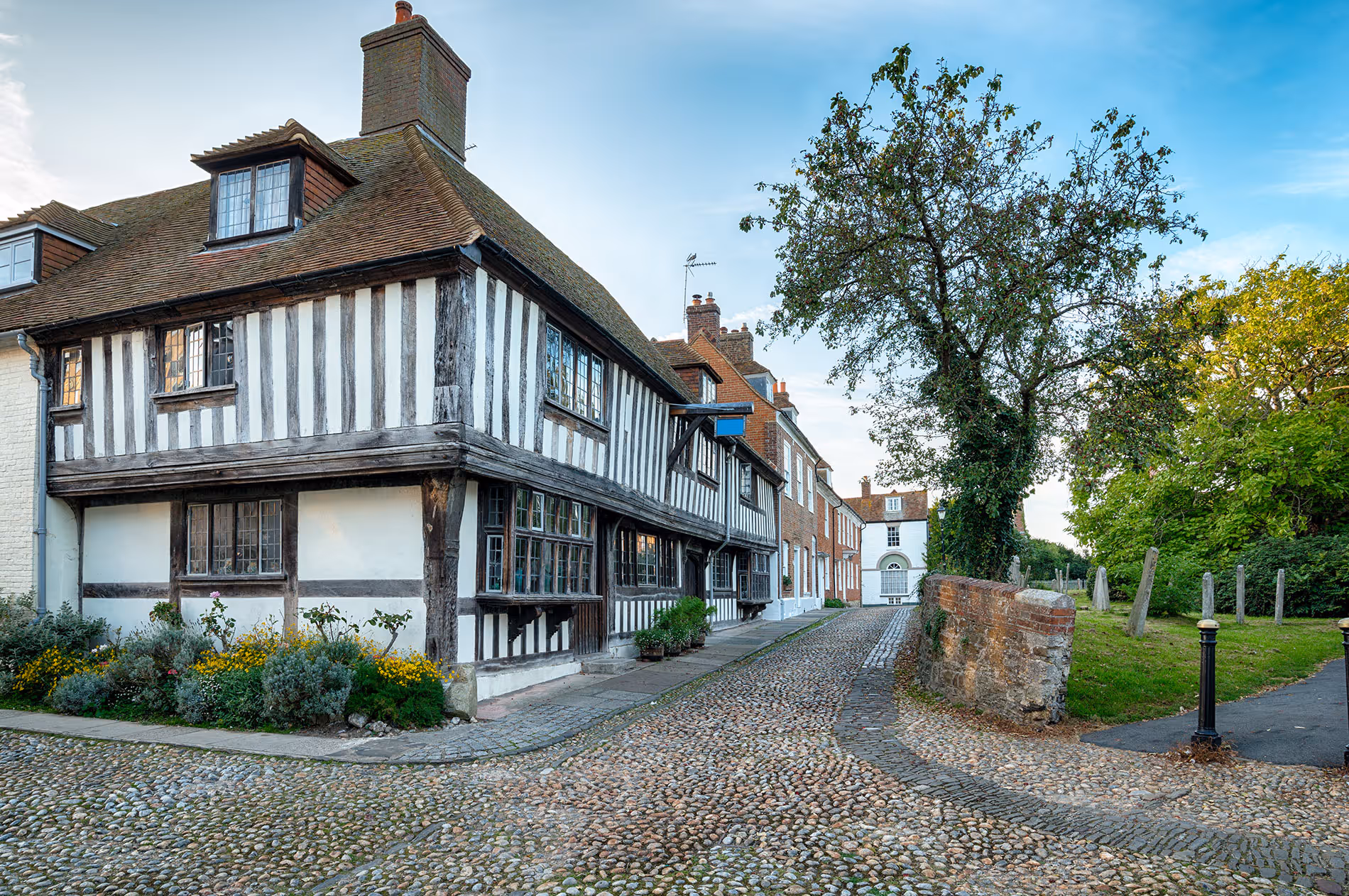 Expert Lime Rendering in Surrey