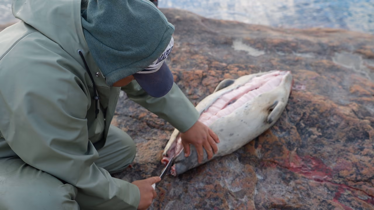 A man cleans a fish