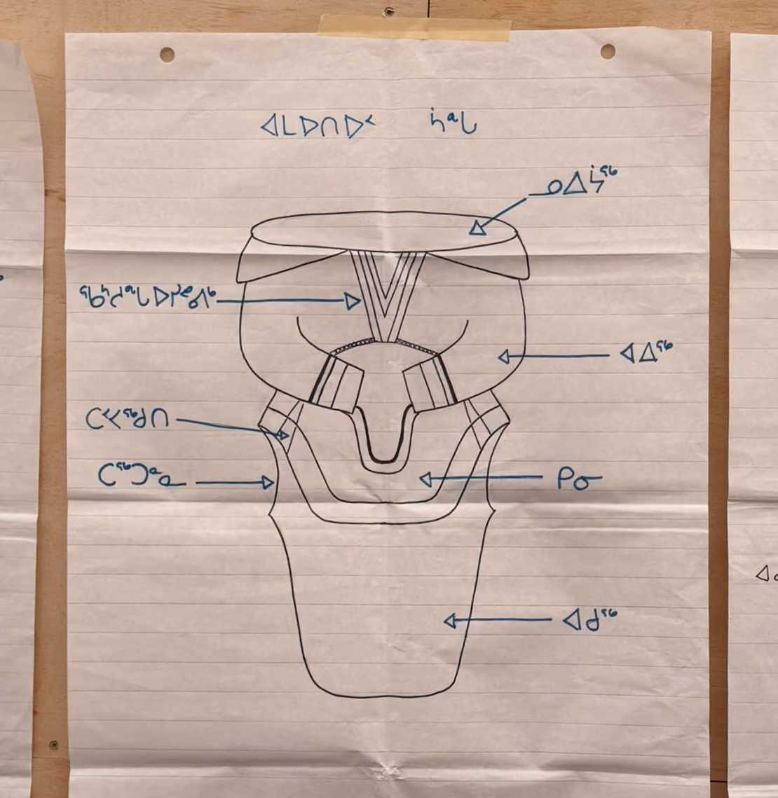 an illustration of an Inuit parka