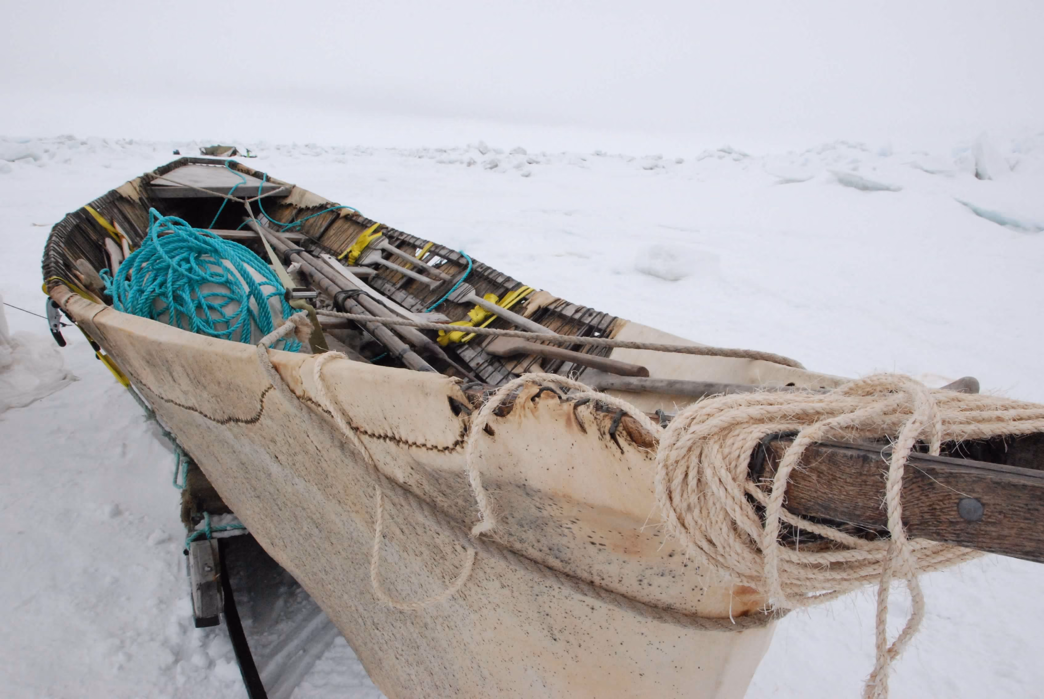 the outside of an Inuit skin boat
