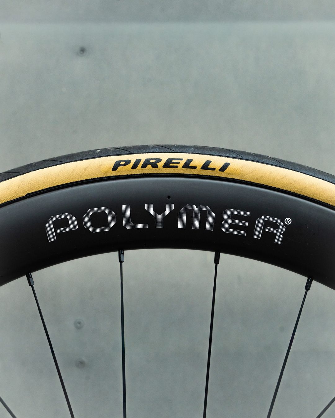 Close detail of the Polymer Workshop rim and Pirelli tyre sidewall