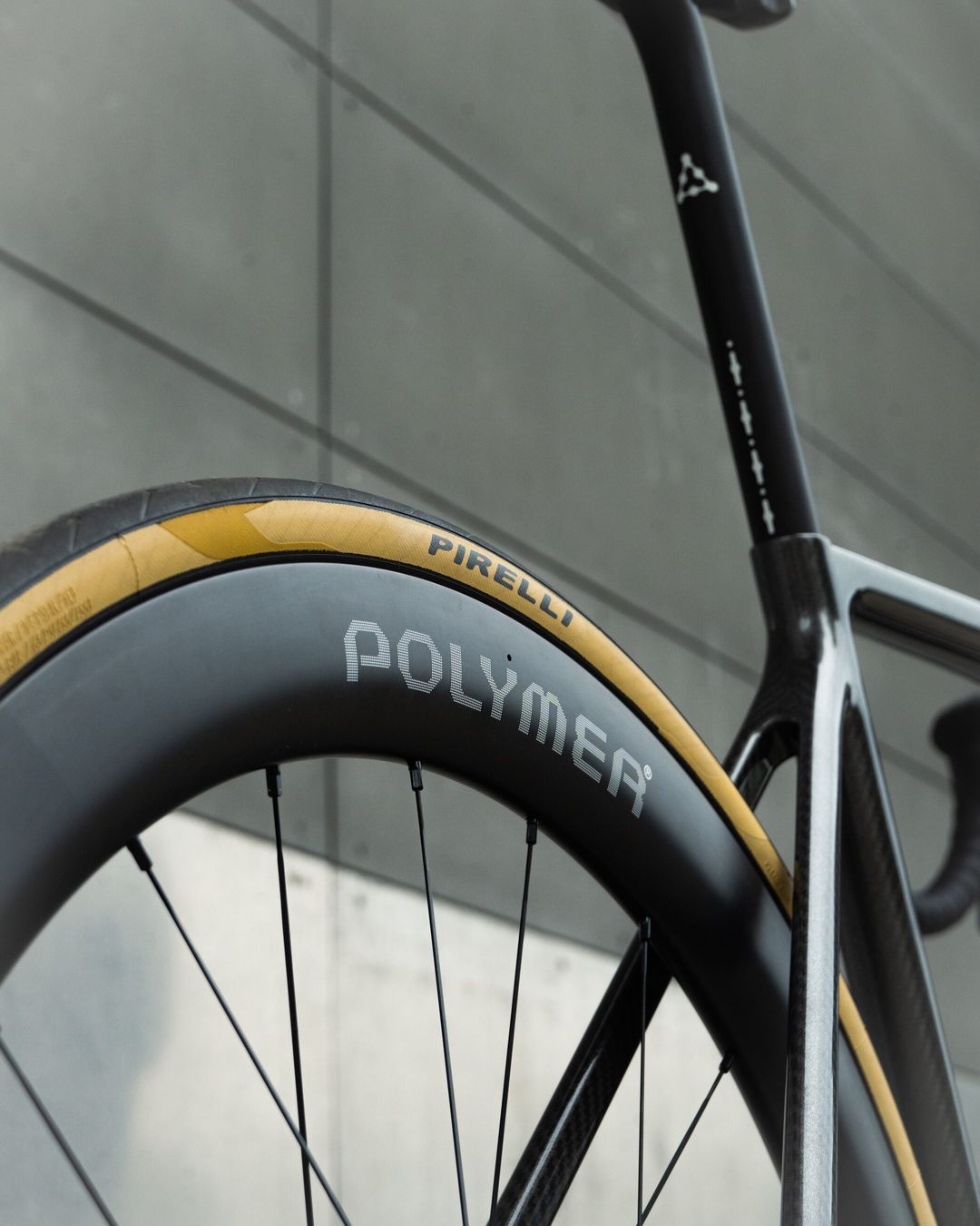 Rear wheel and seat tube, with the Polymer Workshop rim decal and Pirelli tan-wall tyre