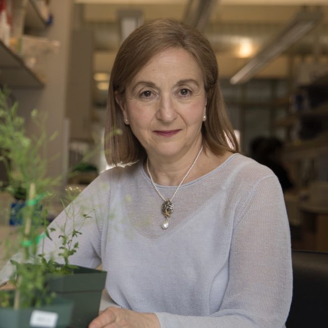 Gloria Coruzzi