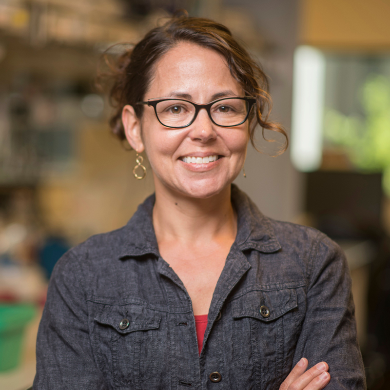 Beth Shapiro