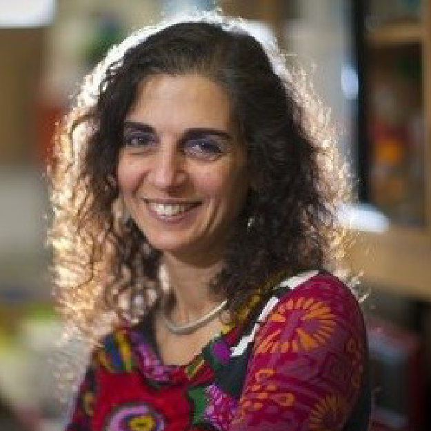 Nada Jabado
