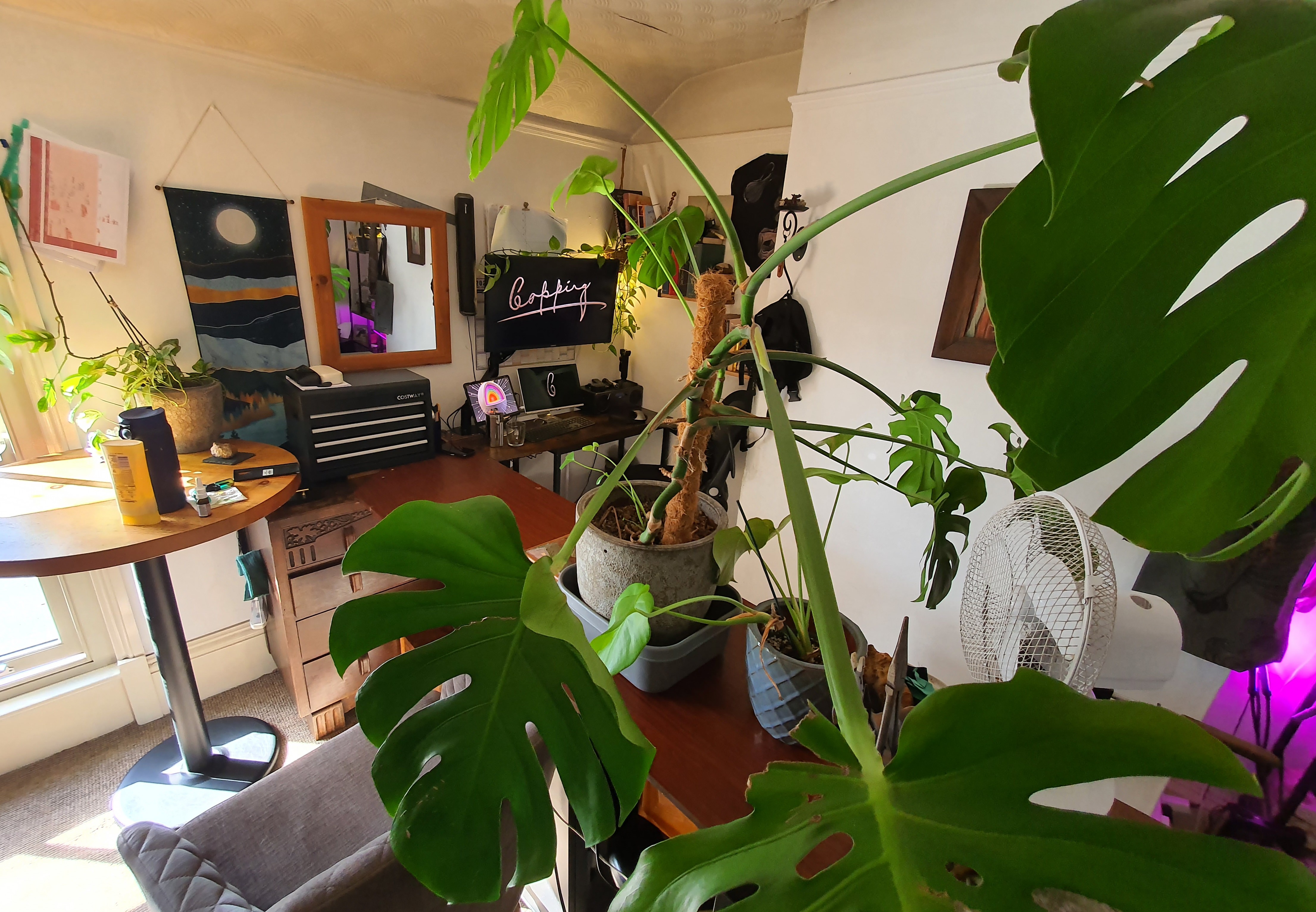 Wide angle view of an open home studio workspace featuring a large potted Monstera plant in the foreground, wooden desk surfaces, and soft natural window light.