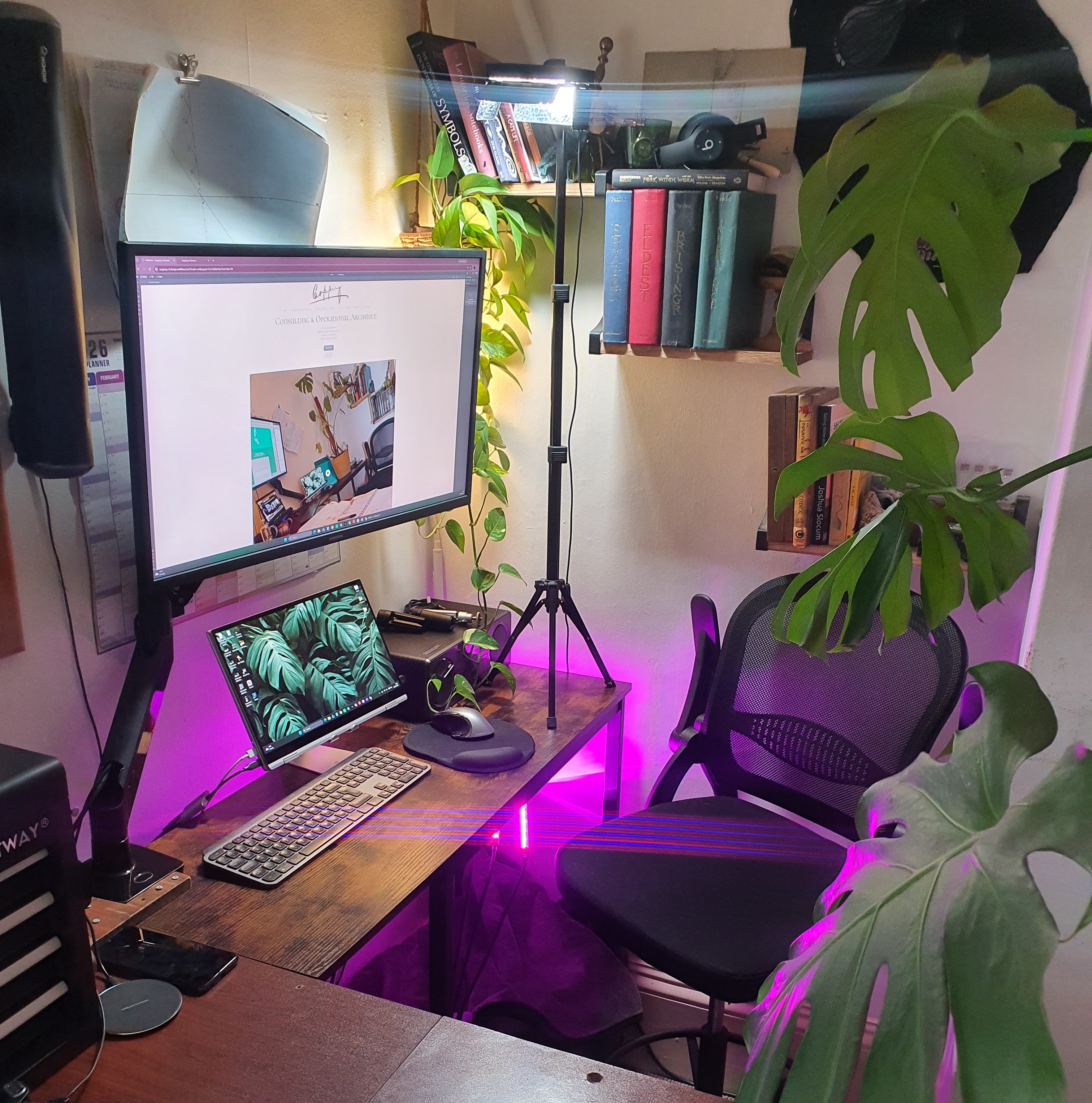 Vertical shot of a compact web development desk with dual monitor screens, an ergonomic mesh office chair, and ambient purple LED lighting amongst climbing indoor foliage.