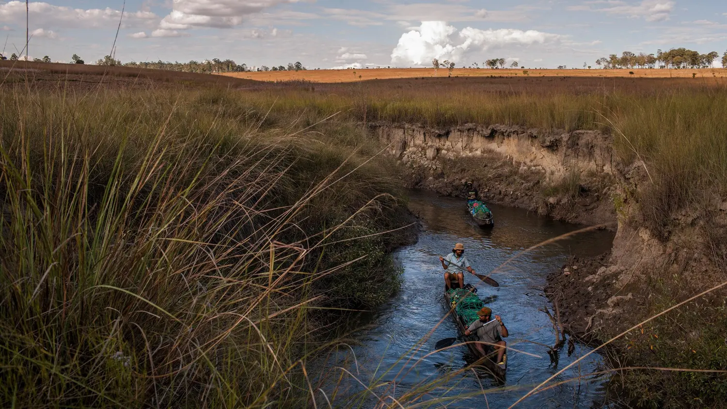 Into the Okavango