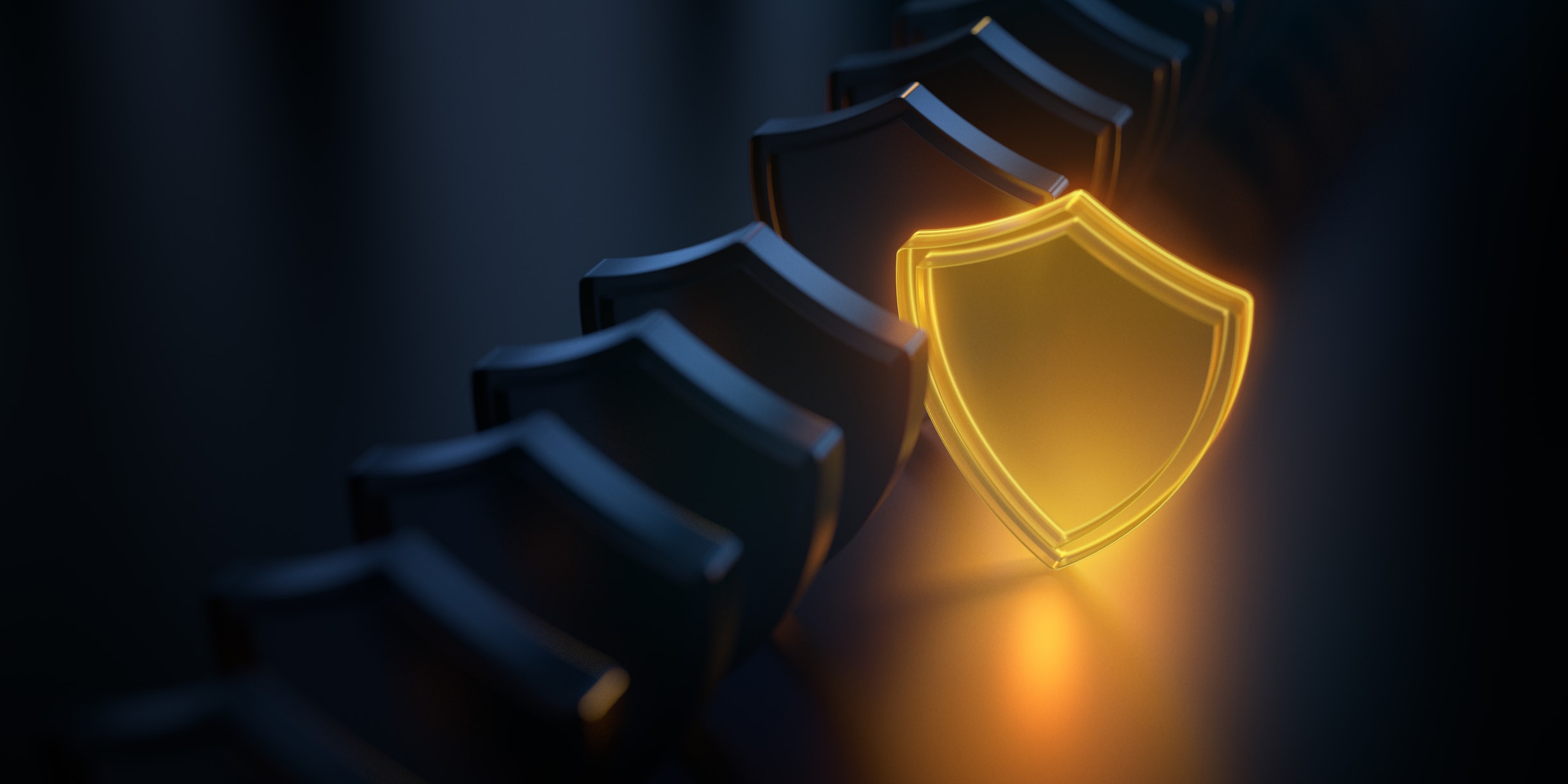 Identity Theft Protection