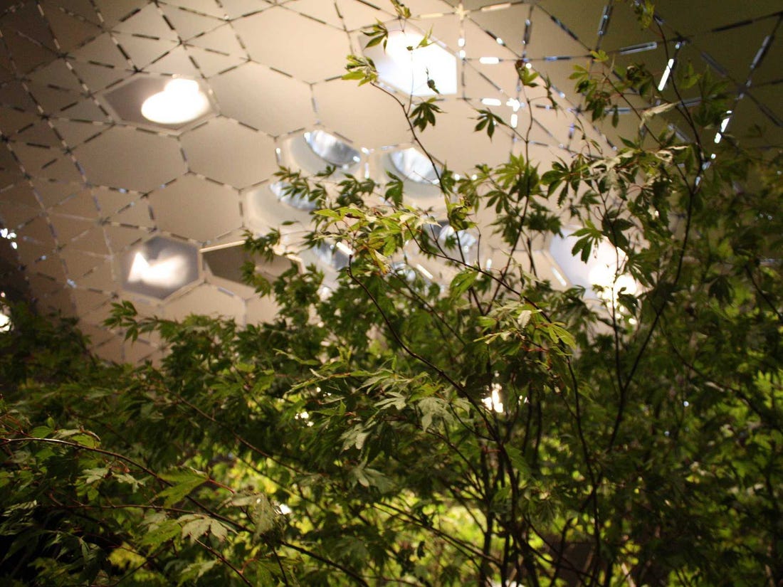 Lowline