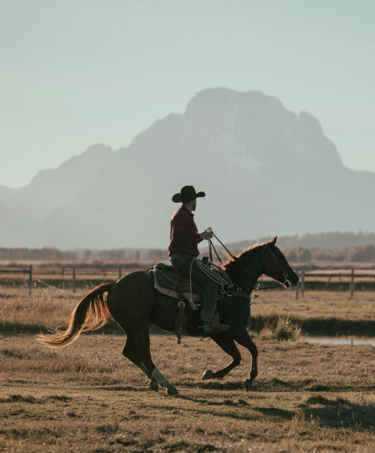 Wrangler riding horseback