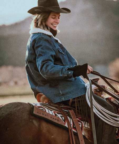 Rider on horseback in golden fields