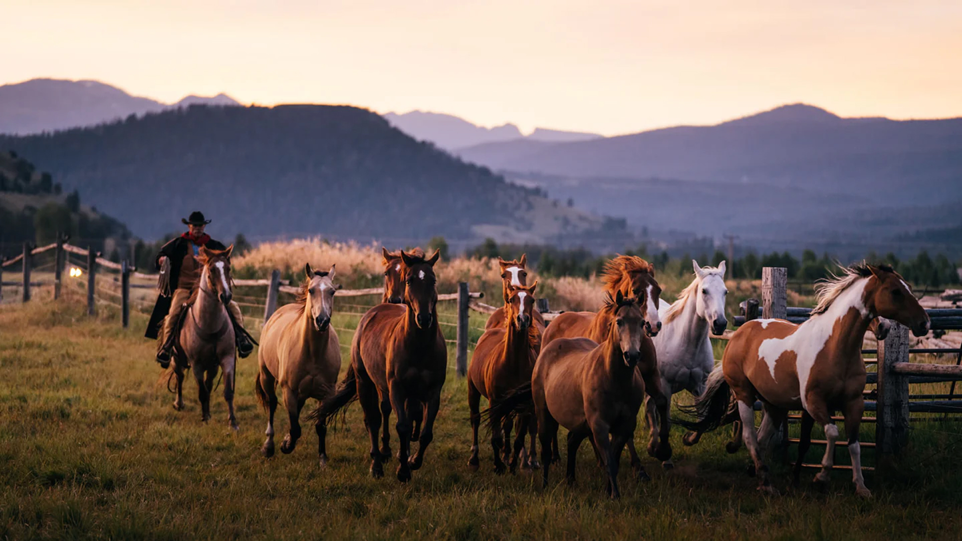 Wranglers with horses at Diamond Cross Ranch, Jackson Hole