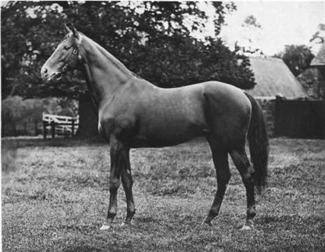 Jeddah, the thoroughbred behind Lanwades Hall's stud history