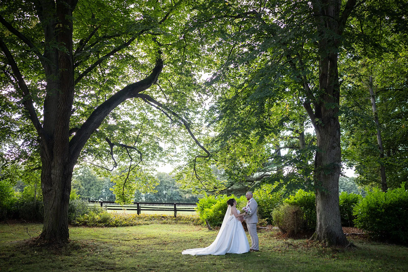 A bride and groom beneath mature trees in the parkland at Lanwades Hall