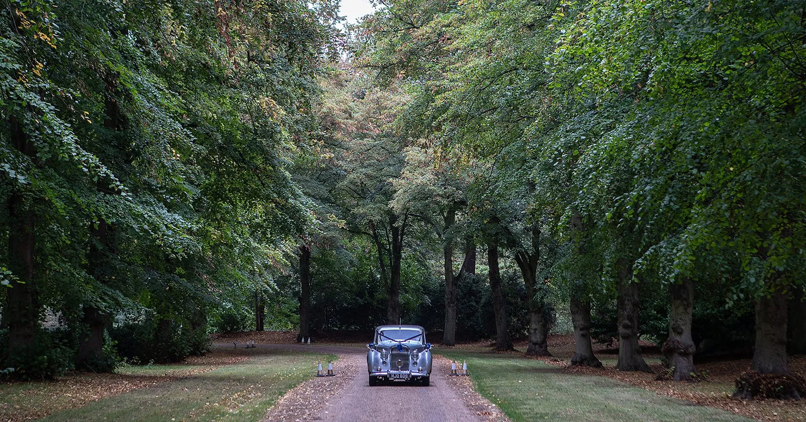 The quiet tree-lined drive leading to Lanwades Hall