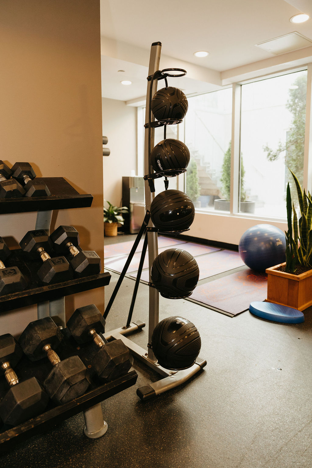 The gym, with racked dumbbells and medicine balls