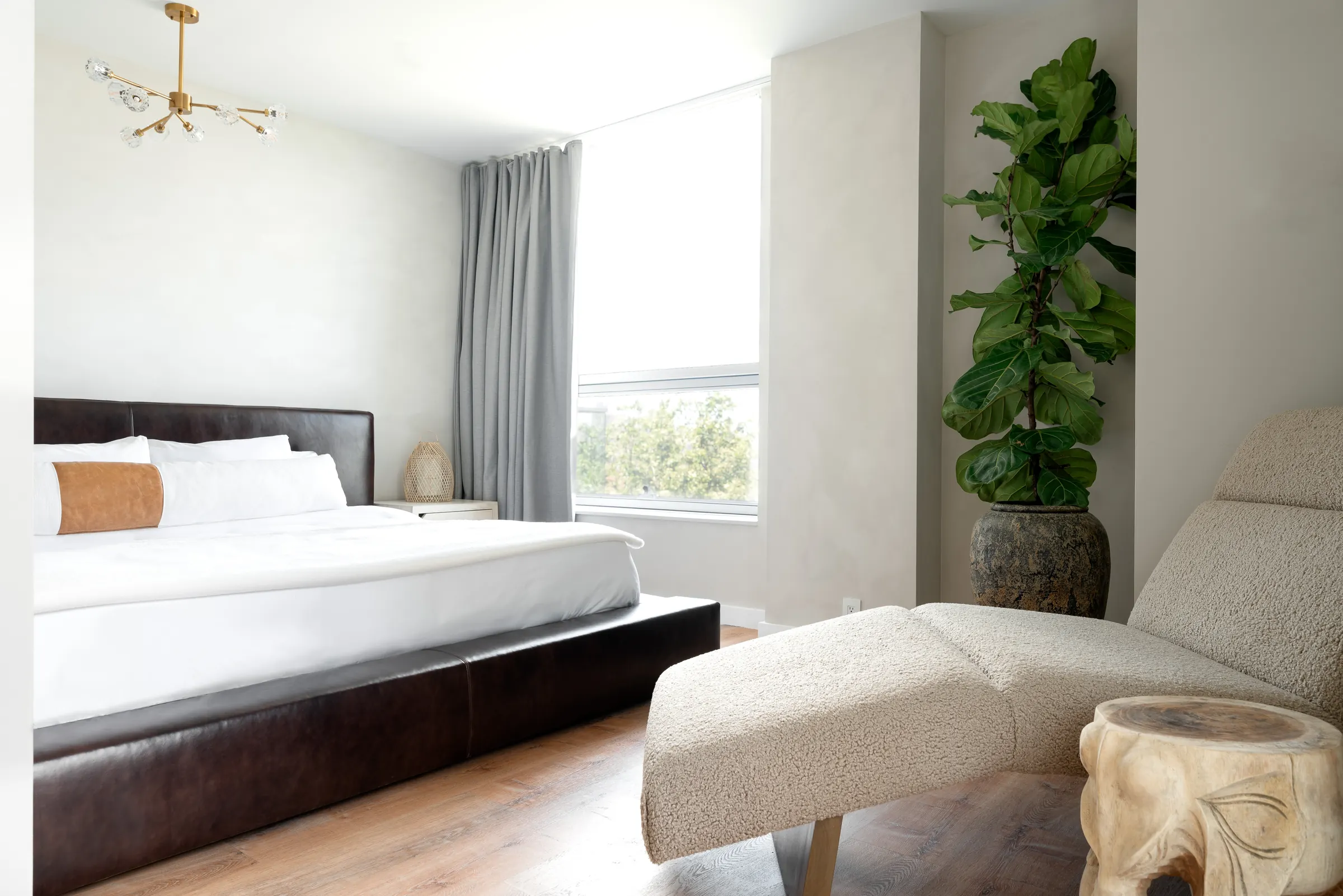 A guest room with a leather headboard, brass chandelier and fiddle-leaf fig