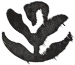Nearfield logomark