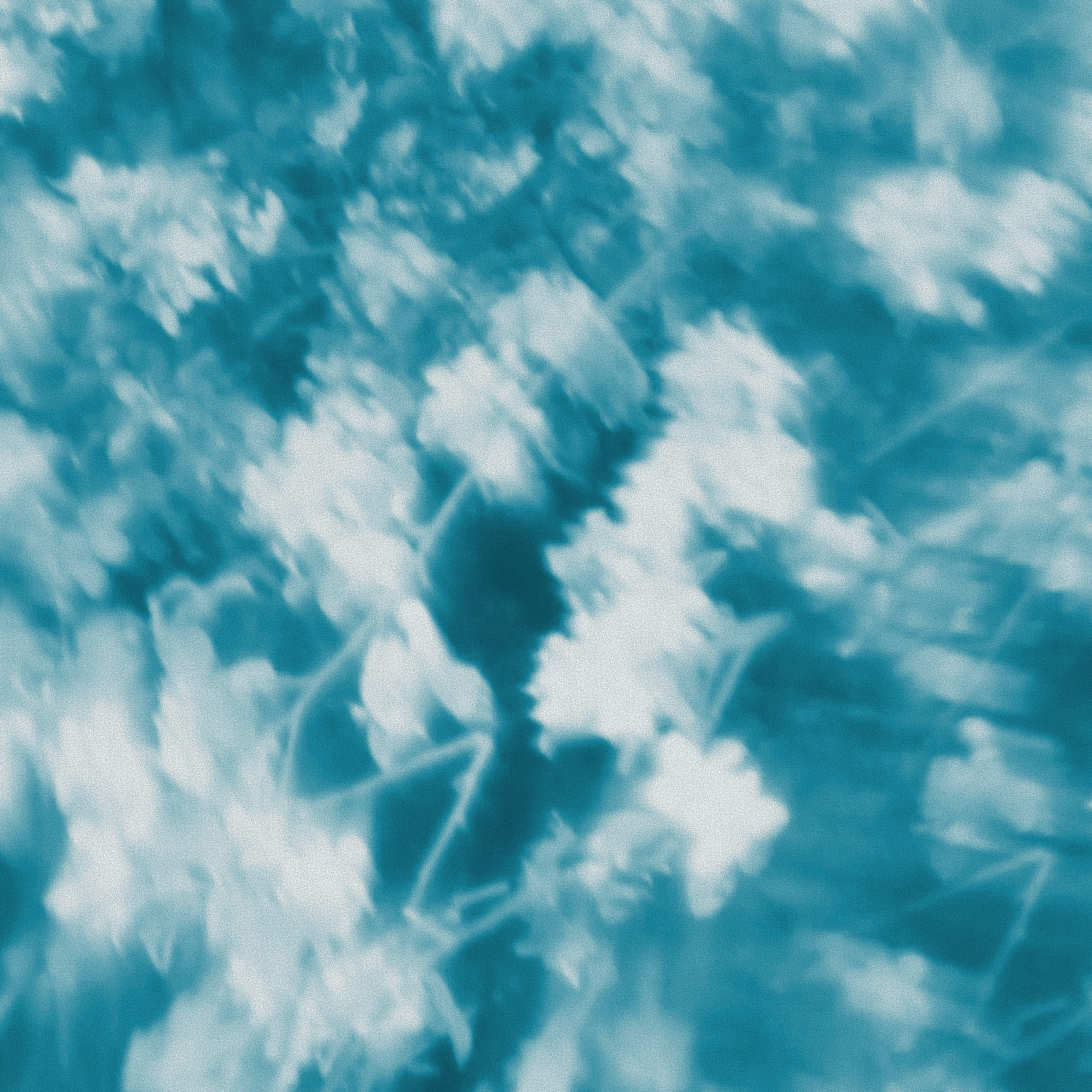 Abstract blurred image with teal and white colors, resembling out-of-focus foliage or floral shapes.