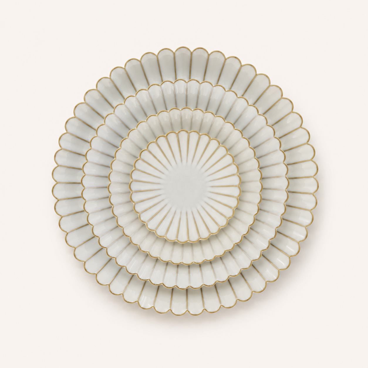 Scallopo