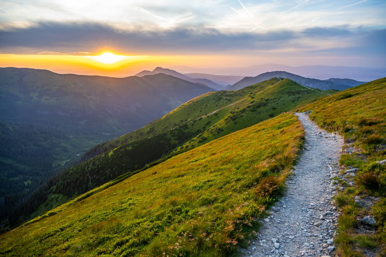 Discovering Your True North: A Journey into Personal Values