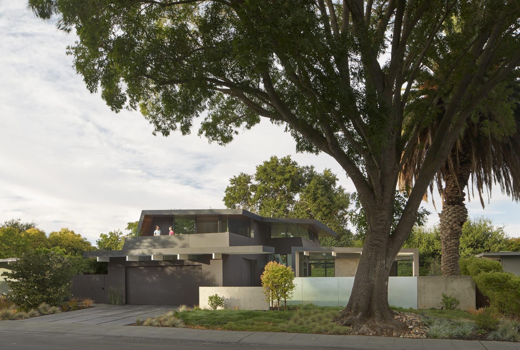 Edgewood Drive, a new build in Palo Alto by Greenberg, the street elevation under the oak