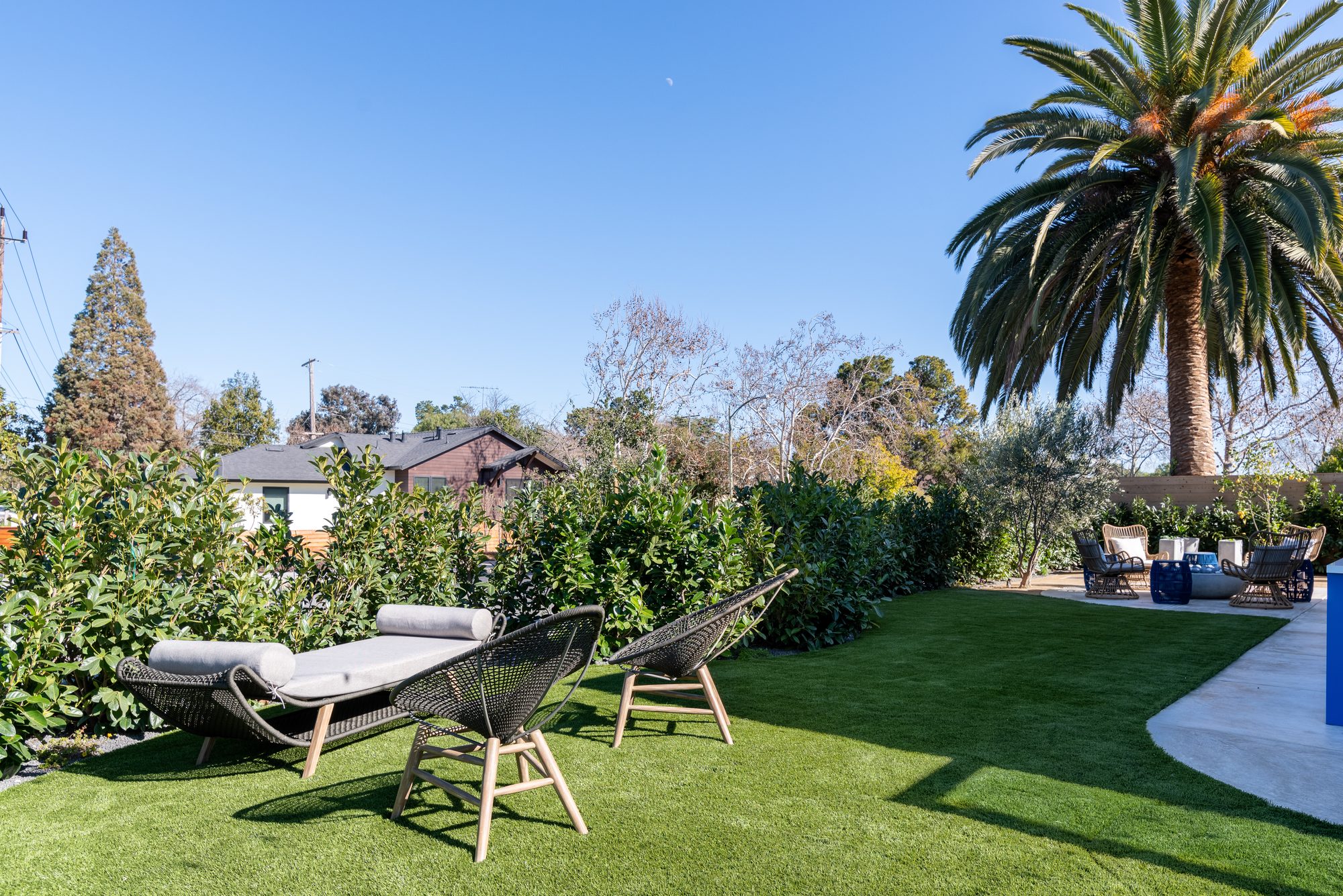 Colorado Ave, a new build in Palo Alto by Greenberg, the garden