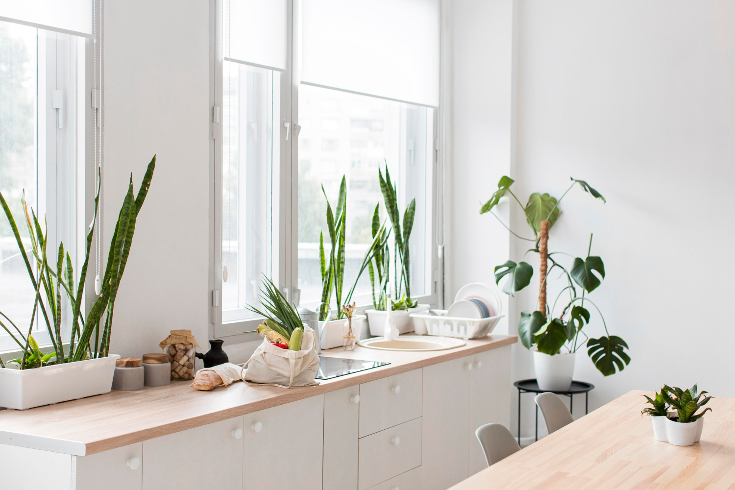 biophilic design and natural light