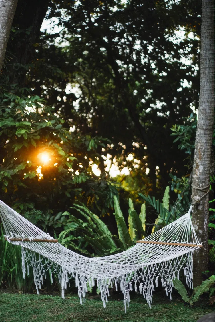 Hammock strung between the trees at sunset
