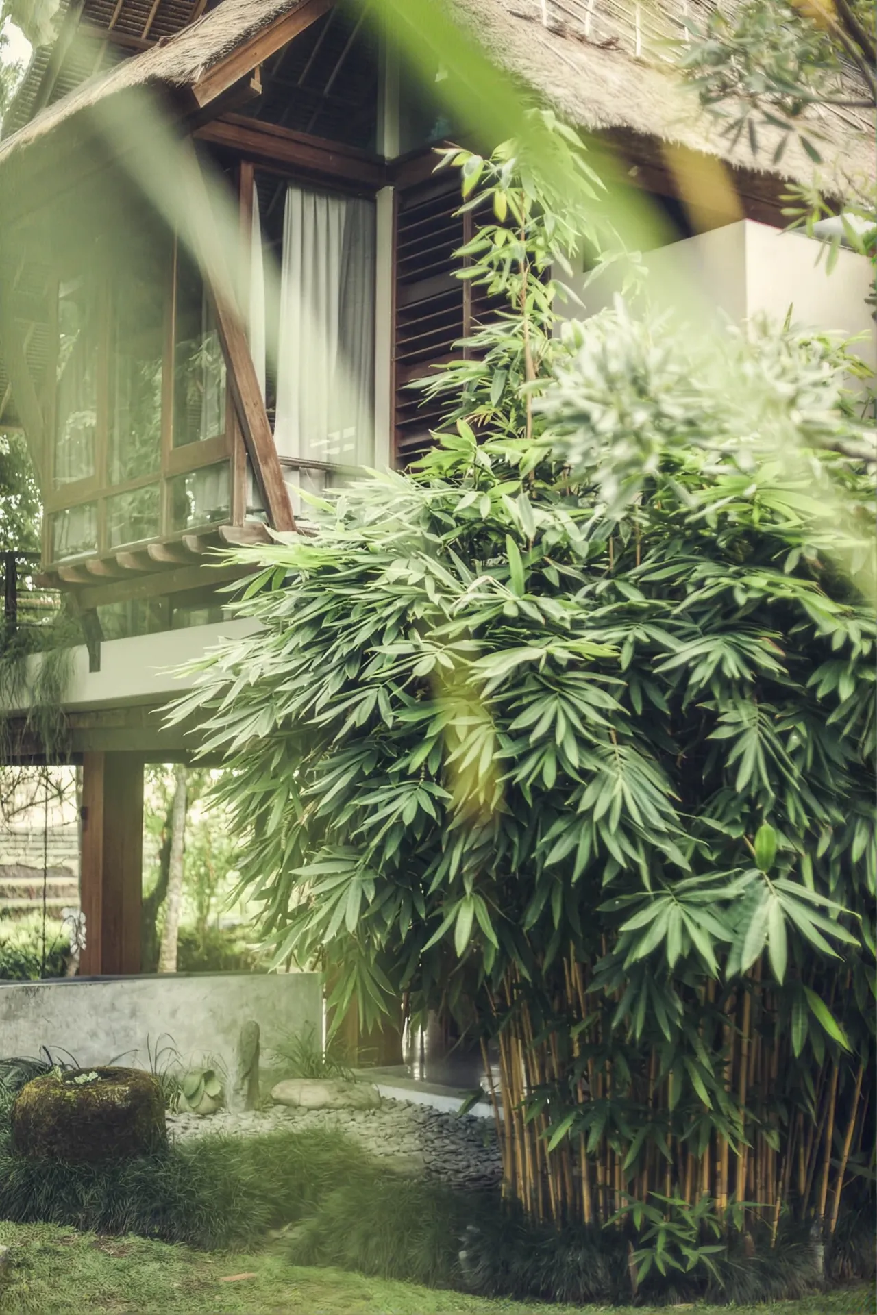 Villa half-hidden by the tropical planting